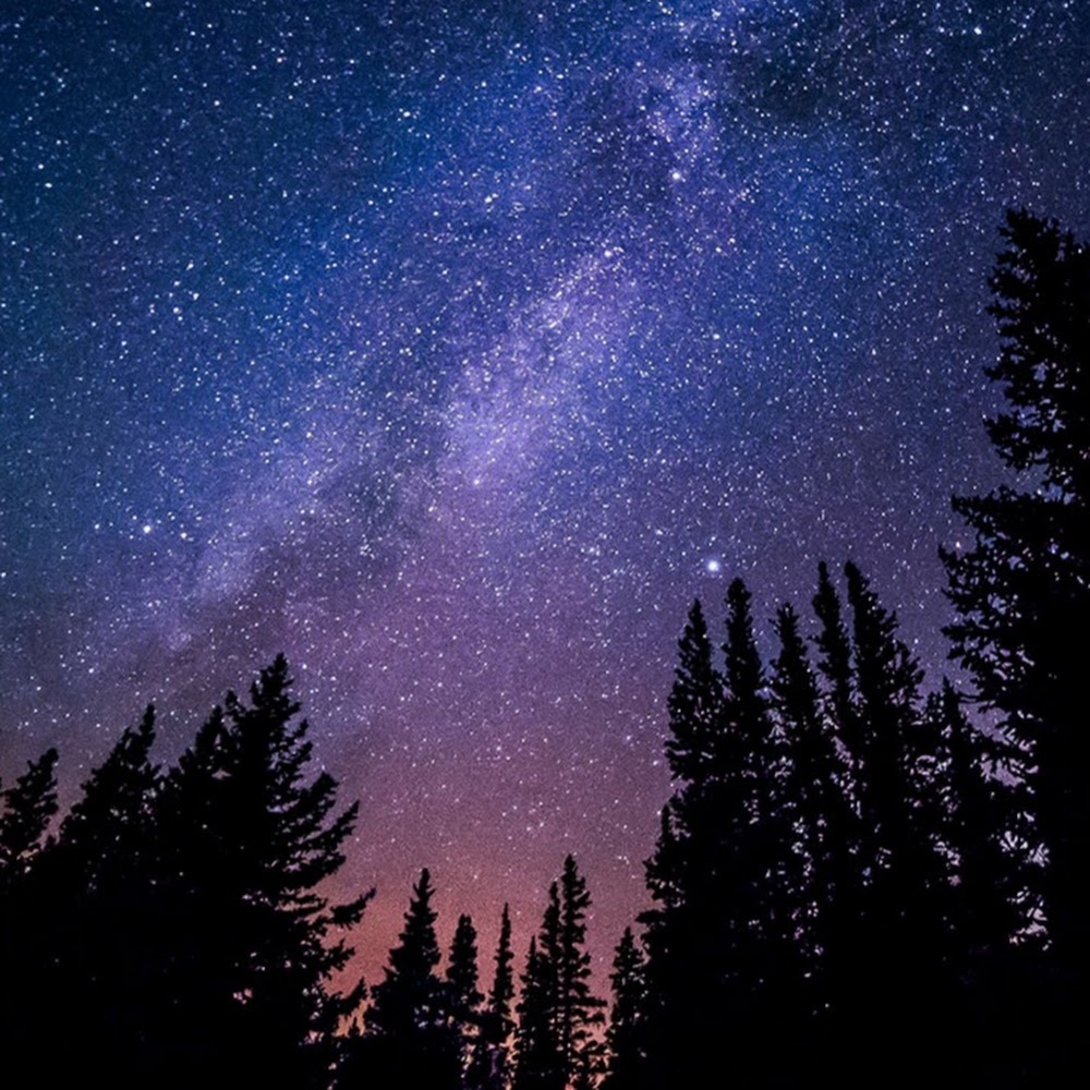 Meet your Posher, Raquel